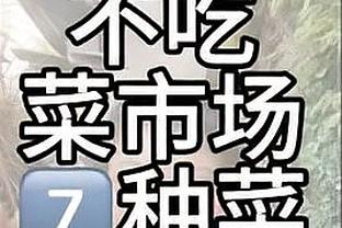 开云app官方入口网站截图3